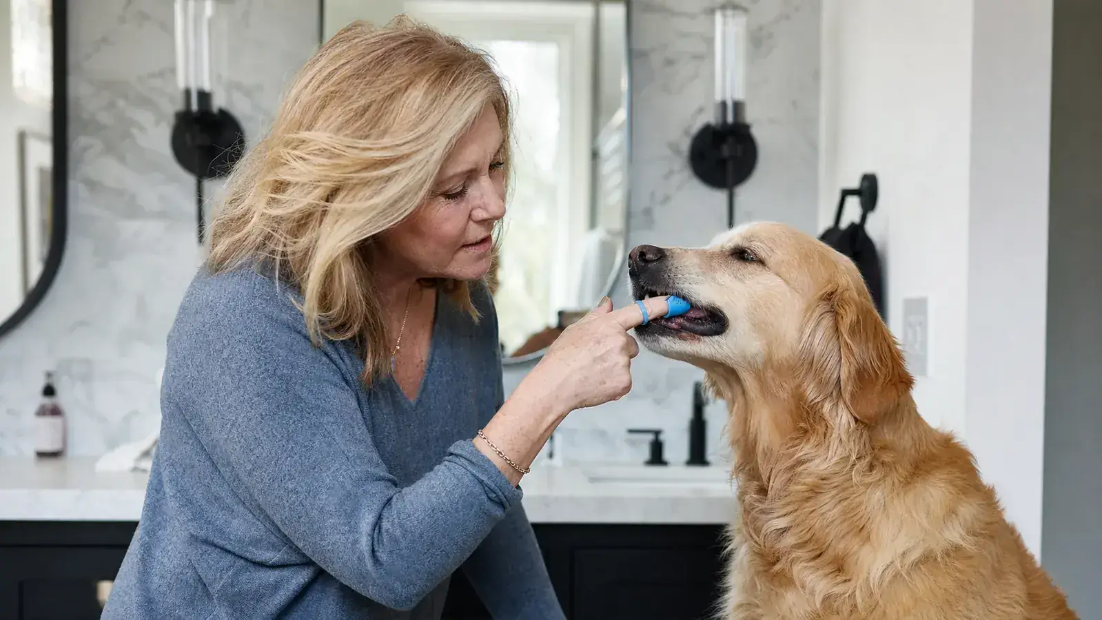 10 Grooming Habits That Keep Dogs and Cats Healthier (Most People Skip Number 4)